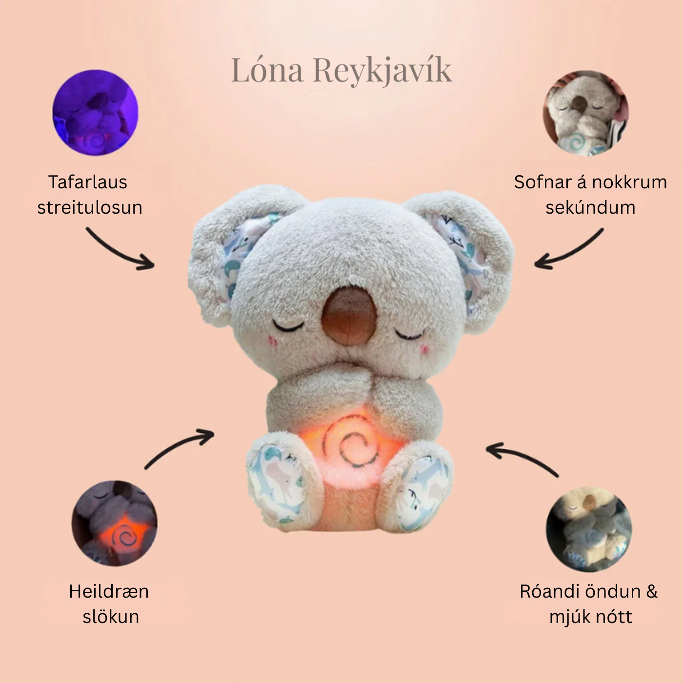 Róandi Kóalabangsi