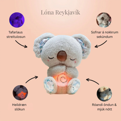 Róandi Kóalabangsi