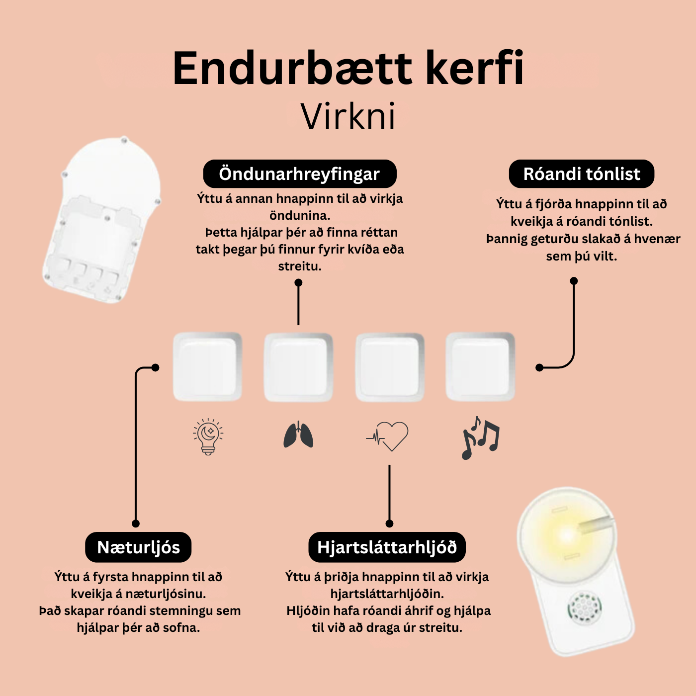 Róandi Kóalabangsi